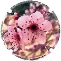 FUCHS DE VIDAL X. 198895 (ROSAT)