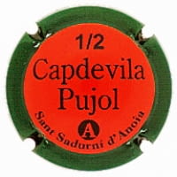 CAPDEVILA PUJOL X. 208920