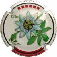 BONRAMELL X. 75188 (PASSIFLORA)