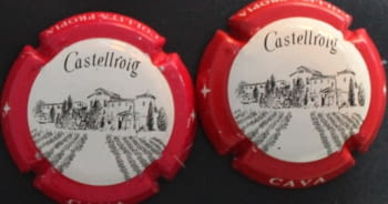 CASTELLROIG X. 00910 A-B