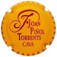 JOAN PIÑOL TORRENTS X. 190356