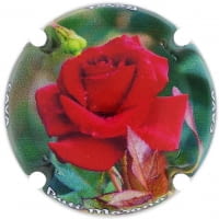 BUTI-MASANA X. 210744 ROSAT