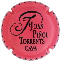 JOAN PIÑOL TORRENTS X. 194209