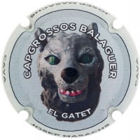 JOSEP MASACHS X. 217043