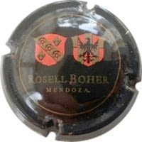 ROSELL BOHER X. 133166 (ARGENTINA)