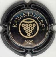KAVAKLIDERE WINERY X. 34509 (TURQUIA)