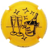 JOAN PIÑOL TORRENTS X. 200510