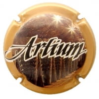 ARTIUM X. 185096