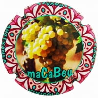 ARTEXANEA VINICOLA X. 204607