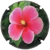 FUCHS DE VIDAL X. 207763