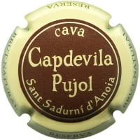 CAPDEVILA PUJOL X. 206431