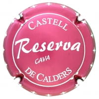 CASTELL DE CALDERS X. 190714