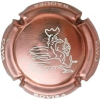 JOAN ROVIRA BAQUES X. 139463