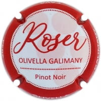 PERE OLIVELLA GALIMANY X. 217494