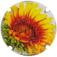ARTEXANEA VINICOLA X. 221457