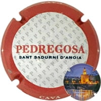 CASTELO DE PEDREGOSA X. 175015 (MADRID)