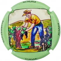 JOAN PIÑOL TORRENTS X. 216943