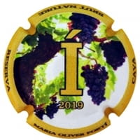 MARIA OLIVER PORTI X. 173787