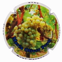 MARIA OLIVER PORTI X. 160009