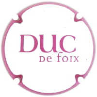 DUC DE FOIX X. 229470