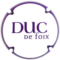 DUC DE FOIX X. 229471