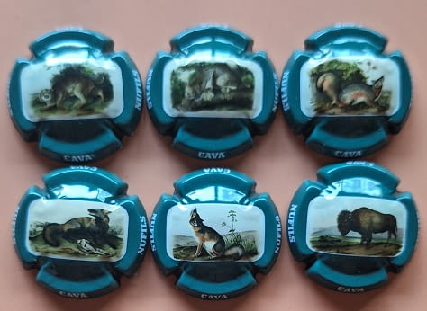 NUFILS JUEGO 6 PLACAS X. 181577 A 181582