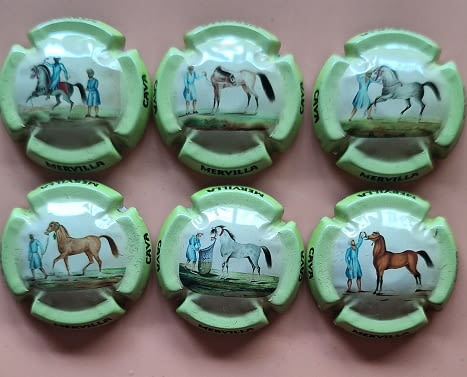 MERVILLA JUEGO 6 PLACAS X. 181369 A 181377