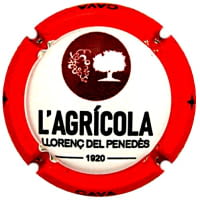 COOP. AGRICOLA LLORENÇ PENEDES X. 232224