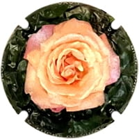 FUCHS DE VIDAL X. 224368 (PINOT NOIR)