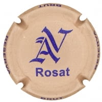VIVES AMBROS X. 228363 (ROSAT)