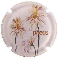 PITEUS X. 225205