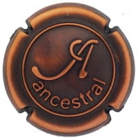 ANCESTRAL X. 223742 COURE ENVELLIT