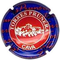 TORRES PRUNERA V. 7474 X. 22315