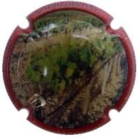 DEMI SUBTIL X. 57431