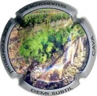 DEMI SUBTIL X. 57428