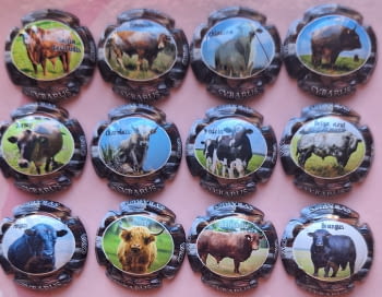 SYBARUS JUEGO 12 PLACAS X. 195892 A 195952