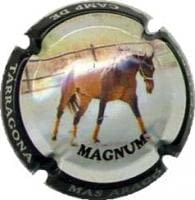 CELLERS CAMP DE TARRAGONA V. 17117 X. 61760 MAGNUM