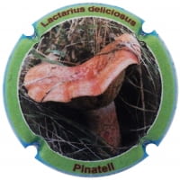 XIC D'ALFONS X. 204508 (PINATELL)