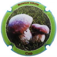 XIC D'ALFONS X. 205624 (CEP)