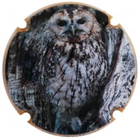 XIC D'ALFONS X. 177713