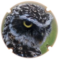 XIC D'ALFONS X. 178018