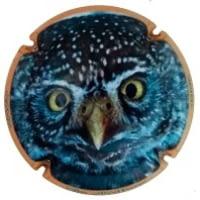 XIC D'ALFONS X. 172280