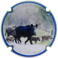 XIC D'ALFONS X. 180414