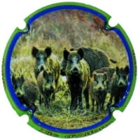 XIC D'ALFONS X. 182235