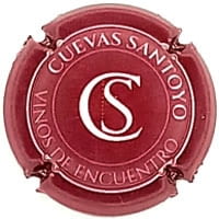CUEVAS SANTOYO X. 210753