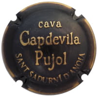 CAPDEVILA PUJOL X. 240898