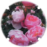 EL CELLER VELL X. 216399