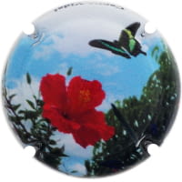 CAPITA VIDAL X. 231732