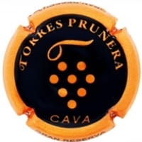 TORRES PRUNERA X. 213481 (GRAN RESERVA)
