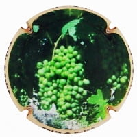 SOLES & SALVA X. 163495